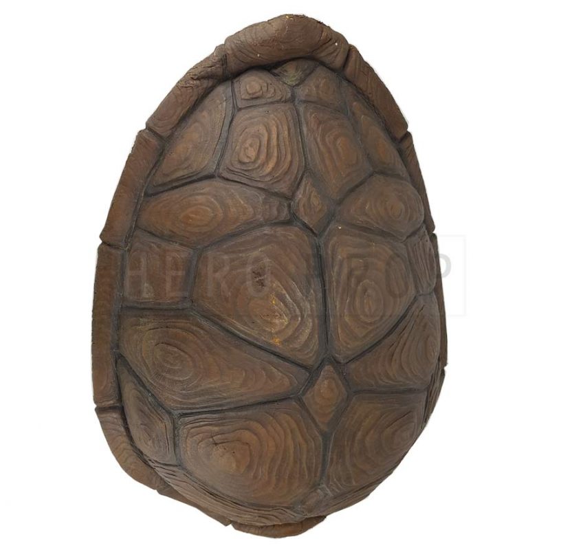Ninja Turtles – The Next Mutation Leonardo Hero Turtle Shell - HeroProp.com