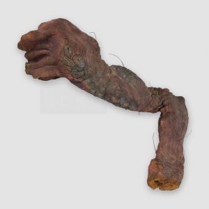 The Fly Animatronic Fly Arm Movie Prop