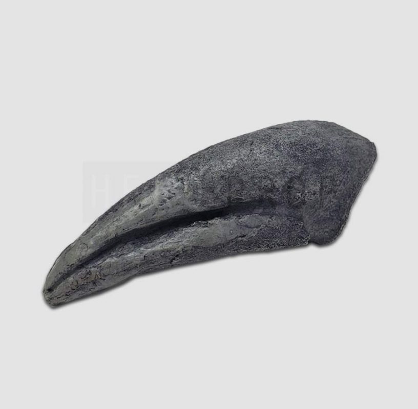 t rex claw