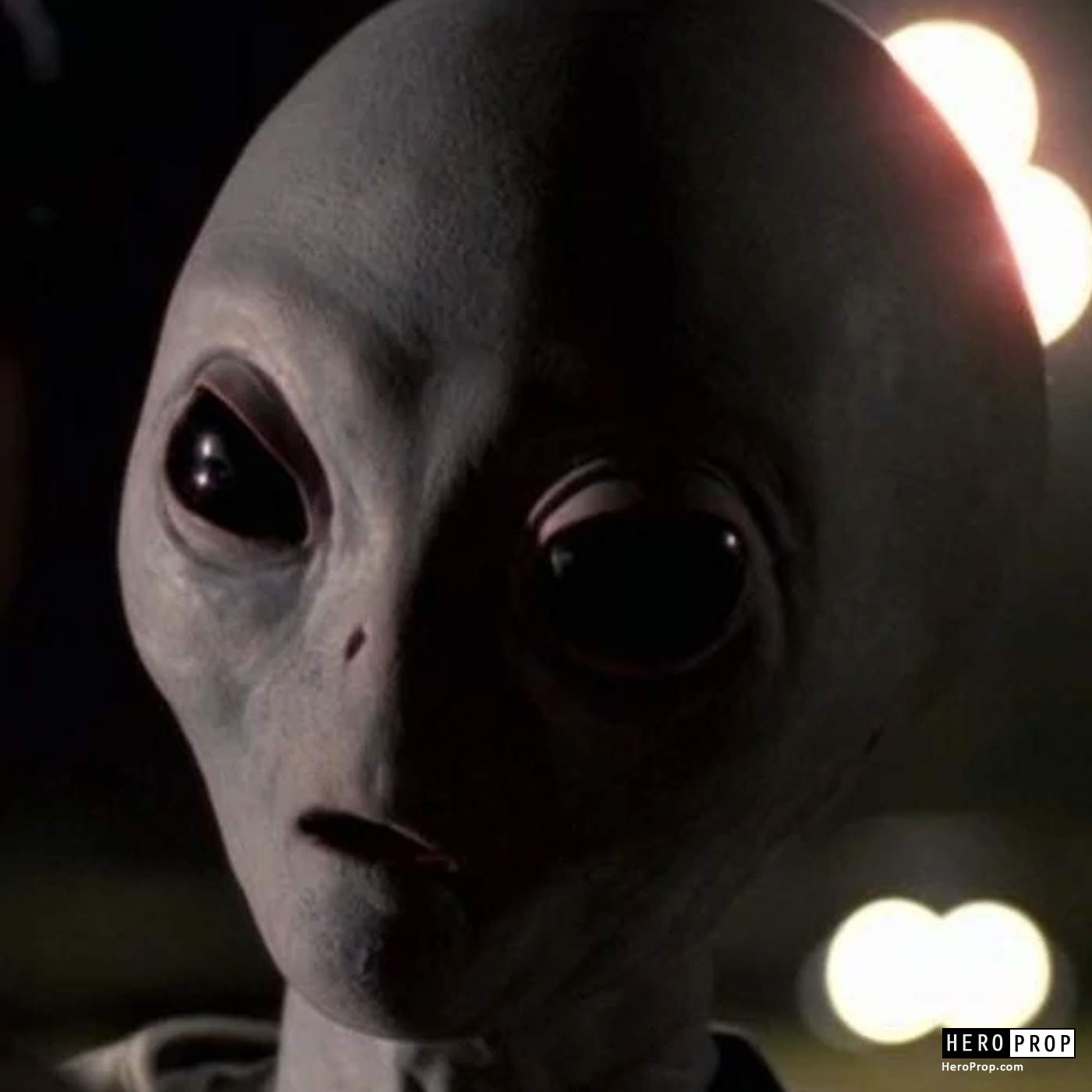 The X-Files (TV) - Alien “Colonist” Head - HeroProp.com