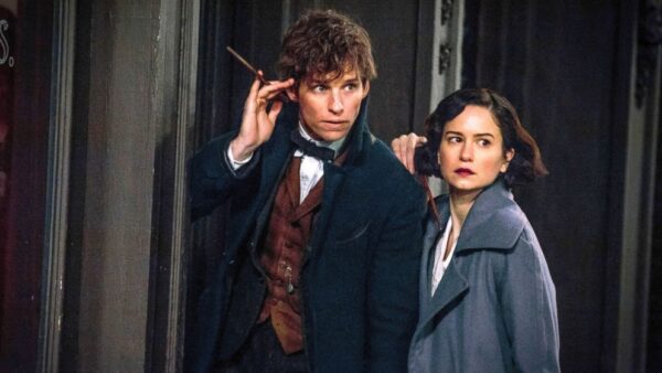 Fantastic Beasts and Where to Find Them (2016) - Newt Scamander (Eddie Redmayne) Wand Display - Image 4