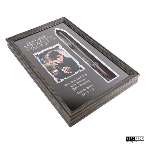 Fantastic Beasts and Where to Find Them (2016) - Newt Scamander (Eddie Redmayne) Wand Display