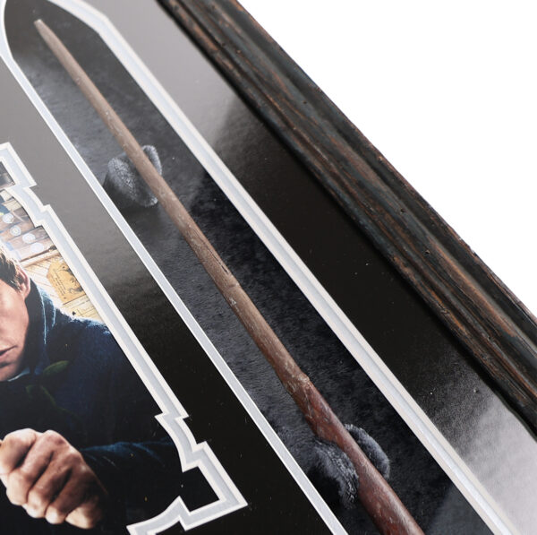 Fantastic Beasts and Where to Find Them (2016) - Newt Scamander (Eddie Redmayne) Wand Display - Image 3