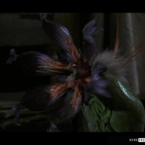 Screencap Hero Prop 3