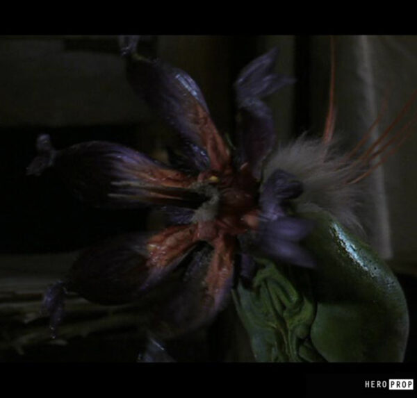 Jumanji (1995) - Poisonous Flower Pod - Image 4