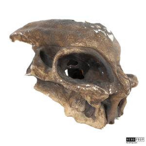Independence Day Resurgence Alien Skull Movie Prop 3