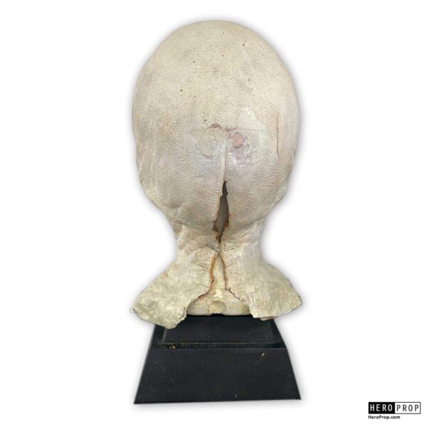COCOON (1985) - Antarean Alien Head Mask - Image 4