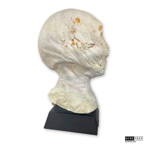 COCOON (1985) - Antarean Alien Head Mask - Image 2