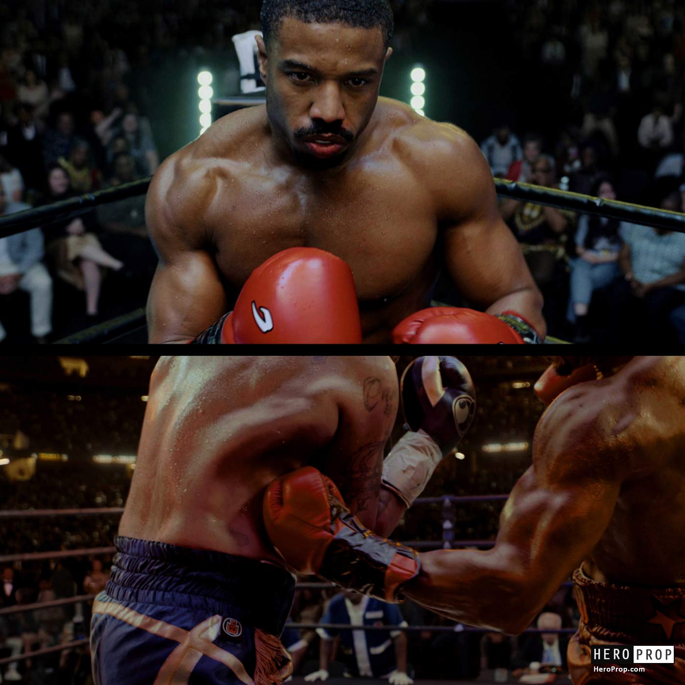 CREED III (2023) - Adonis Creed's (Michael B. Jordan) Gloves - Image 3 CREED III (2023) - Adonis Creed's (Michael B. Jordan) Gloves - Image 3