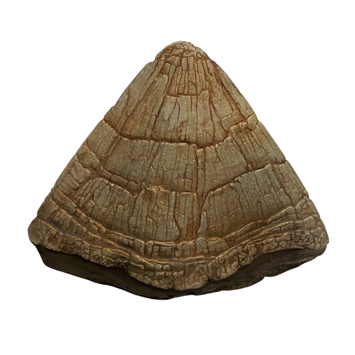 Jurassic Park (1994) - Triceratops Crown Spike