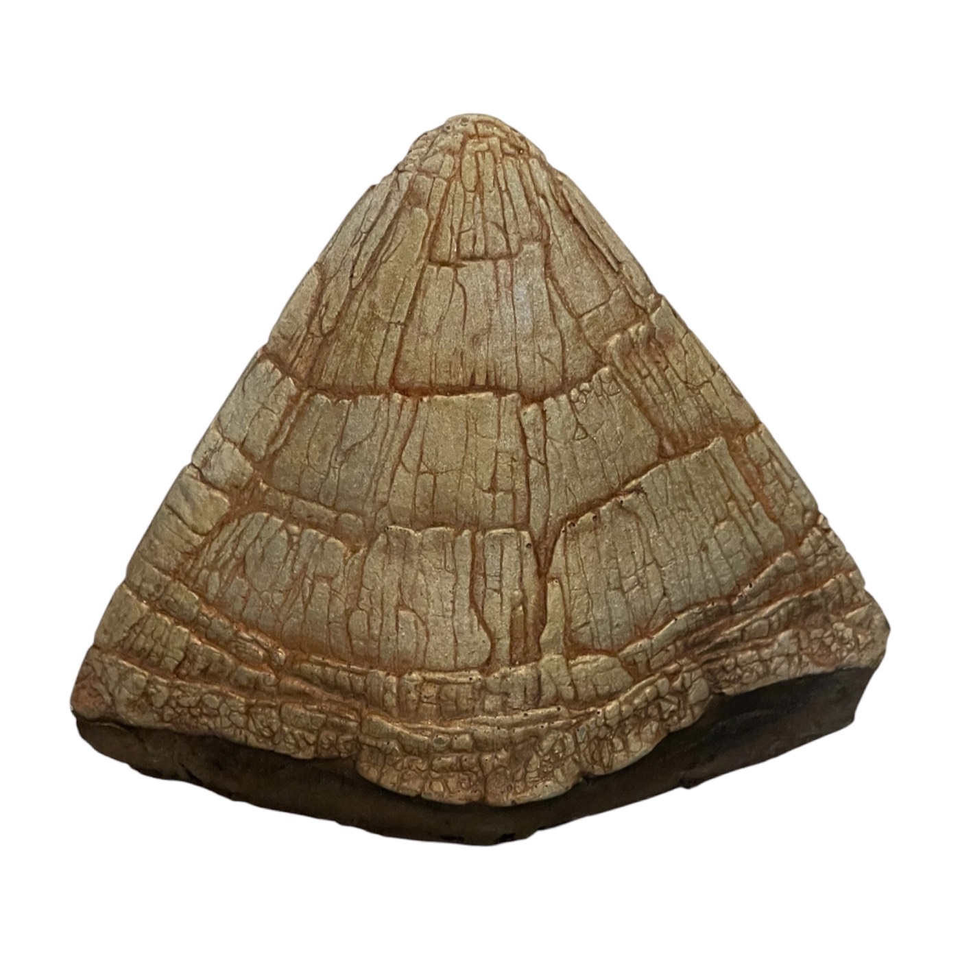 Jurassic Park (1994) - Triceratops Crown Spike - Image 2