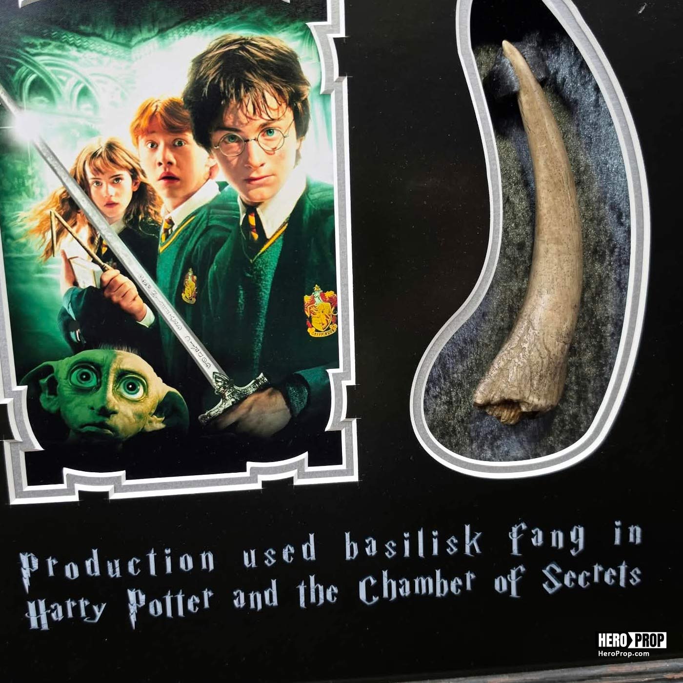 Harry Potter and the Chamber of Secrets (2002) - Framed Basilisk Fang - Image 2